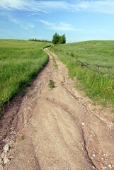 Fototapeta premium Dirt road between green meadows, Poland
