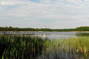 View of the lake on a sunny day, Lake Wigry, Poland