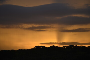 Obraz premium Atardecer ocre 3