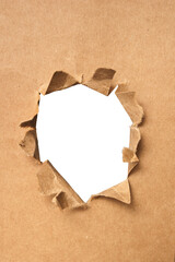 teared brown paper as background and graphic element