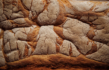 Tasty french bread in paper from bakery