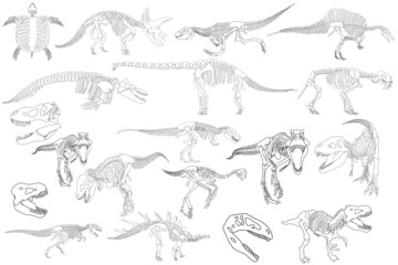 Fototapeta na wymiar Graphical set of dinosaur skeletons isolated on white background,vector sketch