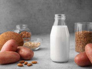 Alternative potato, buckwheat, coconut, oatmeal, almond milk and potato tubers on a gray table. Vegan vegetable milk in a bottle and glass. Variant of lactose-free plant-based milk. Copy space.