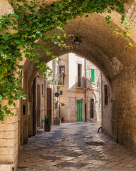 Fototapeta na wymiar Scenic sight in the beautiful town of Giovinazzo, Apulia, southern Italy.