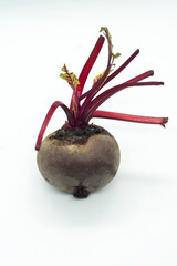 beetroot isolated on white