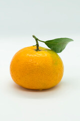 orange on a white