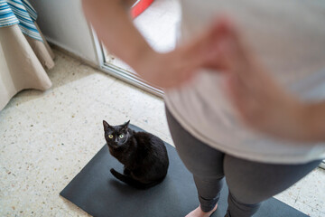 Gato negro en esterilla de hacer ejercicio molestando a su dueña