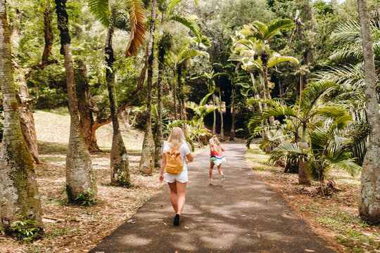 Tourists walk along the avenue with large palm trees in the Pamplemousse Botanical Garden on the island of Mauritius