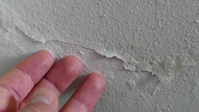 The paint on the wall of a damp house is peeling and blistering, damp wall, moldy house wall,