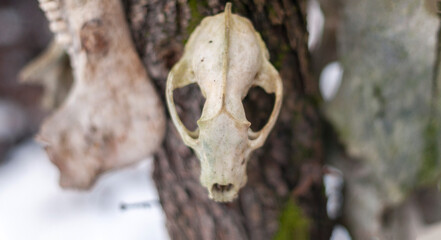 Old abandoned haunted magic totem on the lake in the middle of the forest