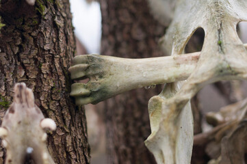 Obraz premium Old abandoned haunted magic totem on the lake in the middle of the forest