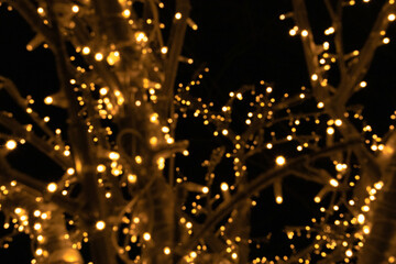 garland of yellow color close-up on a tree, the background is dark. Photo in the bokeh style.