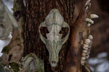 Old abandoned haunted magic totem on the lake in the middle of the forest