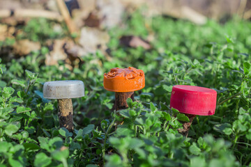 Plastic bottle caps in nature in the grass.Mushrooms in the forest