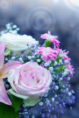 Valentine's Day Bouquet of colorful flowers isolated on gray background.