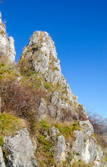 landscape with blue sky