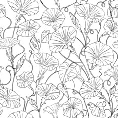Fototapeta na wymiar Graphic floral seamless pattern with flower of bindweed in sketch style. Hand-drawn illustration of morning-glories for design, fabric, textile, coloring page, wrap paper, decoration of flower shop