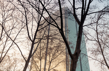 tour Incity à Lyon dans le quartier de la Part-dieu derrière des arbres