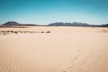 Fototapeta na wymiar Wüsten- und Vulkanlandschaft auf Fuerteventura