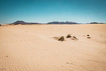 Fototapeta na wymiar karge Wüstenlandschaft minimalistisch