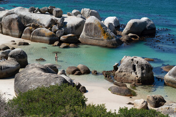 Obraz premium Landscape of Boulders Beach, Cape Peninsula, South Africa.