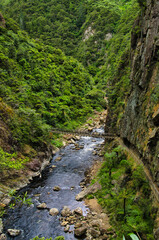 The Karangahake Mountain and Crown Loop Track through the spectacular gorge of the Whaitawheta River,  at the base of the Coromandel Range, North Island, New Zealand
