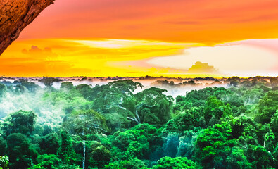 Sunset over the trees in the brazilian rainforest of Amazonas