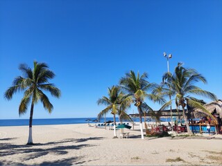 Obraz premium Palm trees and bar by the beach