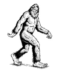 Sasquatch, Yeti, Bigfoot walking vector illustration black and white - obrazy, fototapety, plakaty