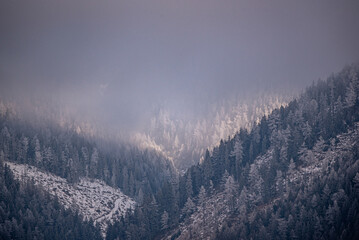 fog in the mountains, winter, snow covered trees in winter