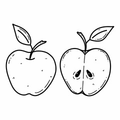 Vector apple doodle illustration. Fruit illustration for farm market menu. Healthy food design