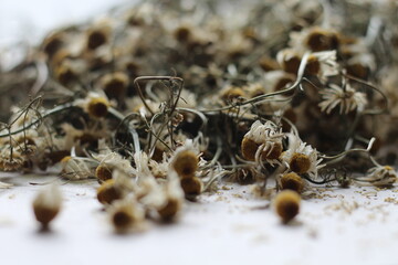 Camomila desidratada