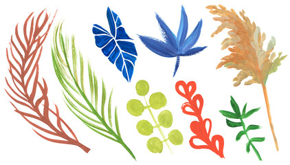 A set of tropical dried flowers from branches and leaves painted with gouache in bright colors with a dry brush isolated on a white background for the design of summer fabrics and other