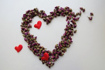 buds of small roses lined with the heart on a white background
