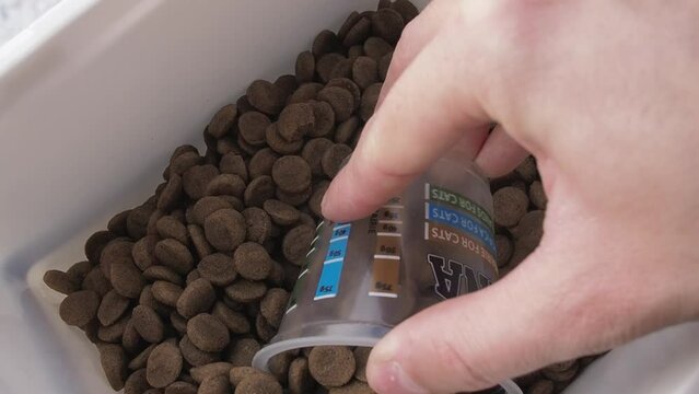 Man hand scoops dog food into a measuring cup to measure the volume of the daily portion of food.