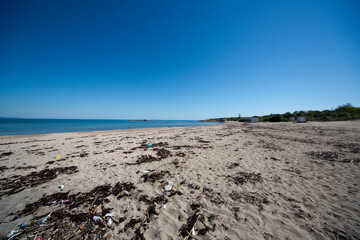 Wild nature in Ahtopol, Bulgaria