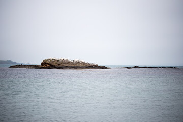 Wild nature in Ahtopol, Bulgaria