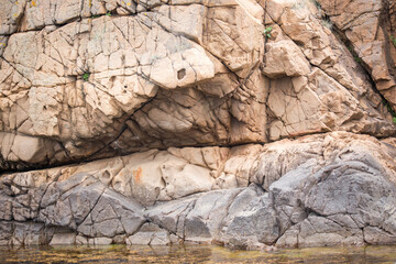 Wild nature in Ahtopol, Bulgaria