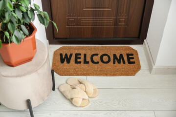 Pouf with houseplant, slippers and mat near dark wooden door