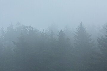 Fototapeta na wymiar Fog of low clouds enshrouds the summit of Mt. Kearsarge.