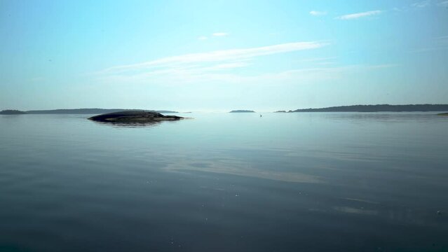 morning in the sea