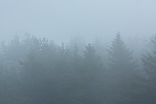 Fog of low clouds enshrouds the summit of Mt. Kearsarge. © duke2015