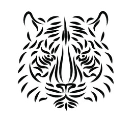 black and white tiger face