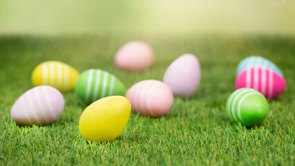 Fototapeta na wymiar Pastel toned Easter eggs in sunlight on green grass. 
