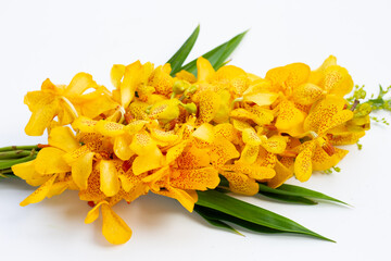 Bouquet beautiful yellow orchid flowers isolated on white background