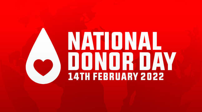 national organ donor day 14th february modern crreative minimalist banner, sign, design concept, social media post, template with red text and organ donation icon on an abstract background.