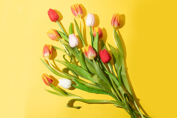 Tulips on a yellow  background, top view, . flat lay. spring bouquet. minimal concept