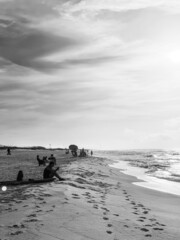 Black and White Beach Scene