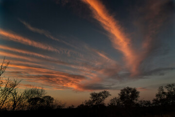 Fototapeta na wymiar Clouds at sunset; Kirkman's Kamp; South Africa