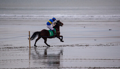 Single race horse and jockey sprinting on the beach.